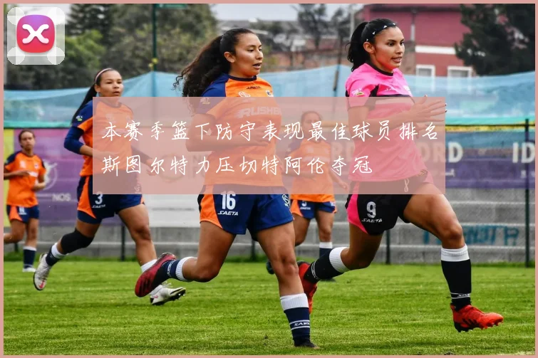 本赛季篮下防守表现最佳球员排名斯图尔特力压切特阿伦夺冠
